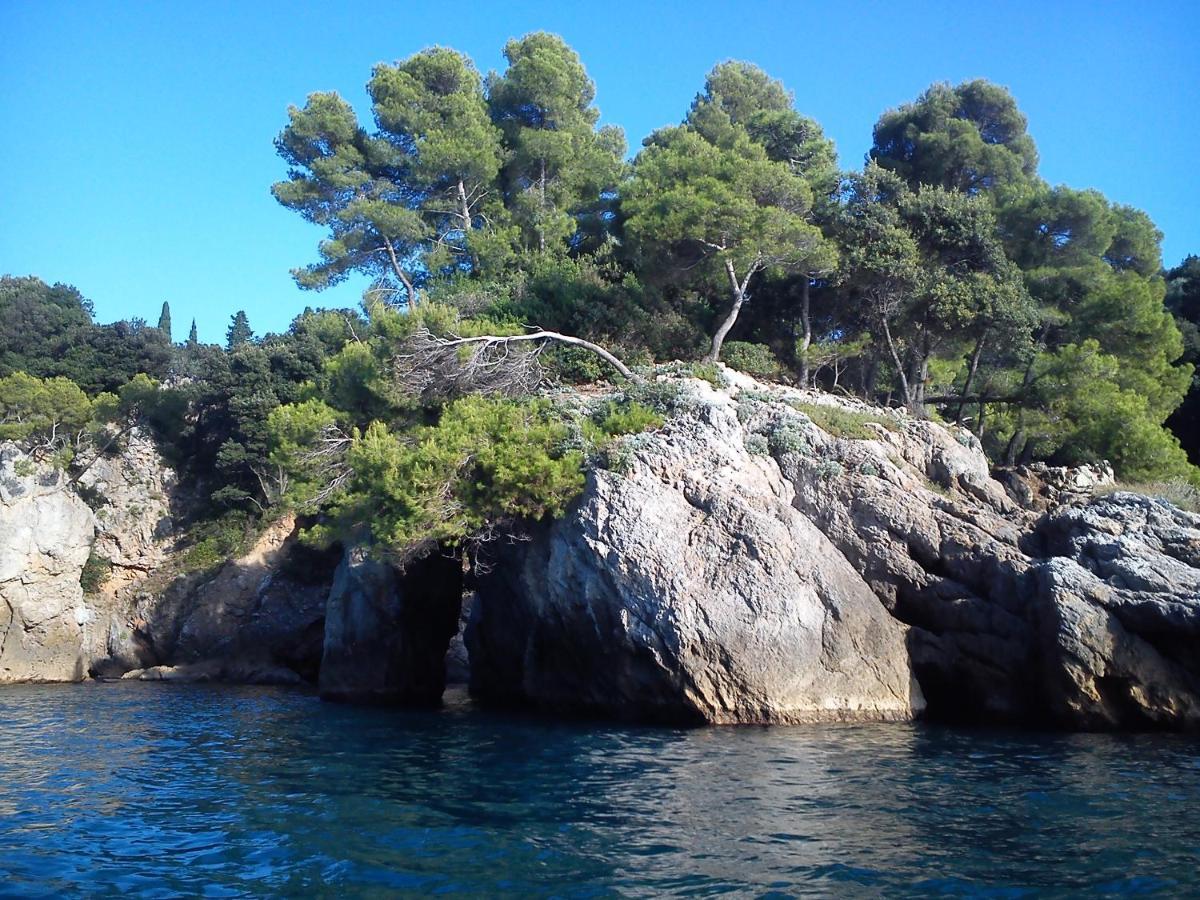 Mansard Apart Alba - Sea 5 Terre-Trekking-Excursions-Relax 圣特伦佐 外观 照片